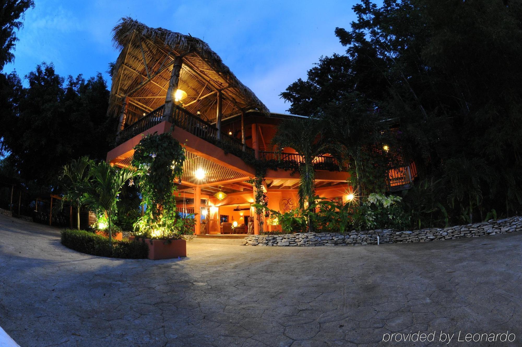 Machaca Hill Rainforest Canopy Lodge Пунта-Горда Экстерьер фото