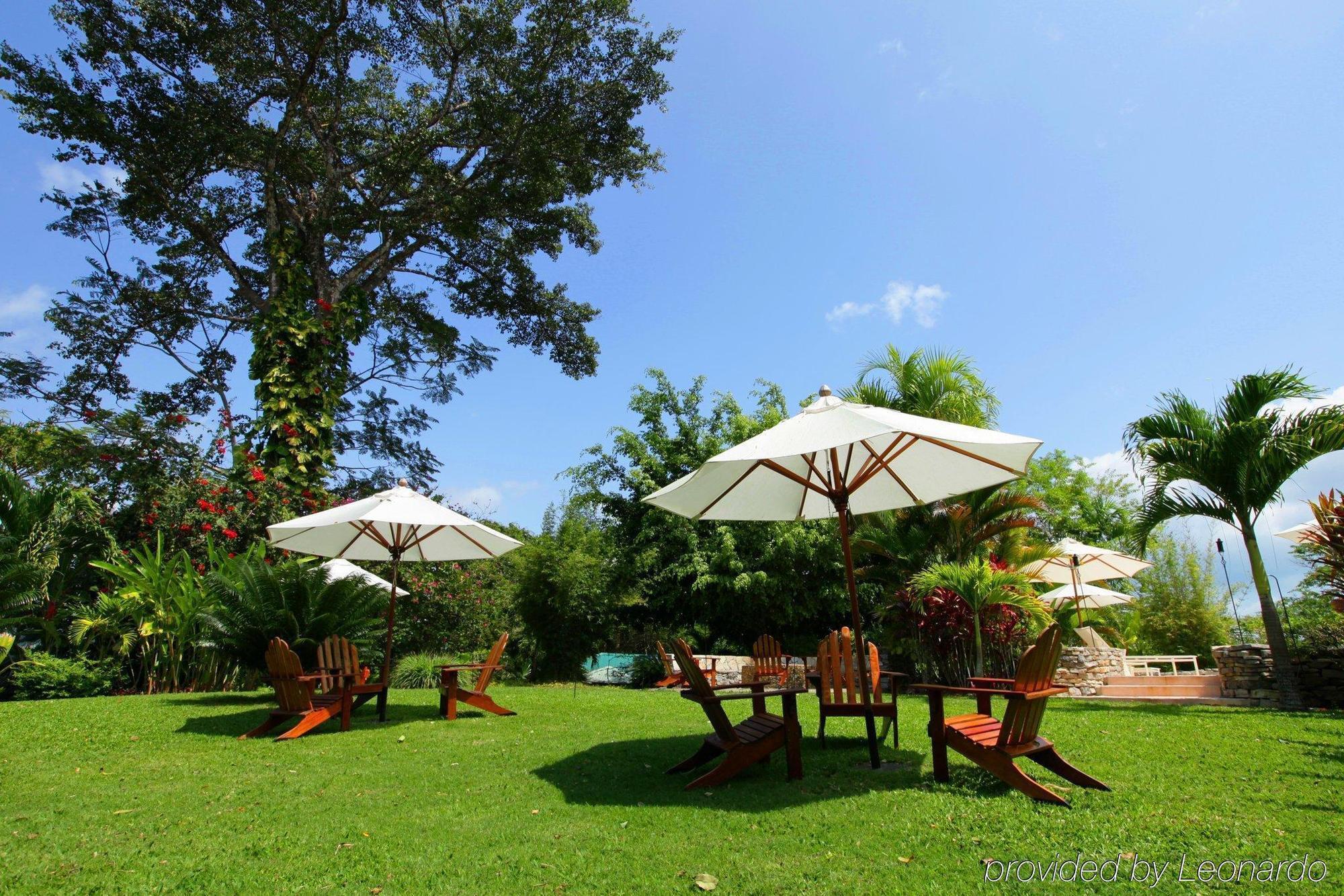 Machaca Hill Rainforest Canopy Lodge Пунта-Горда Экстерьер фото