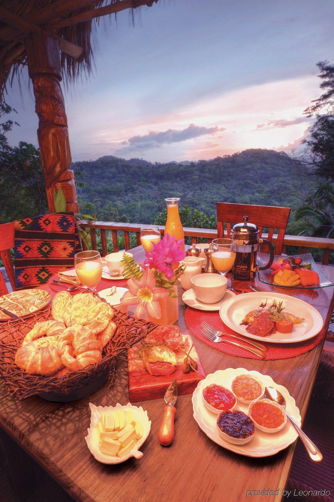 Machaca Hill Rainforest Canopy Lodge Пунта-Горда Экстерьер фото