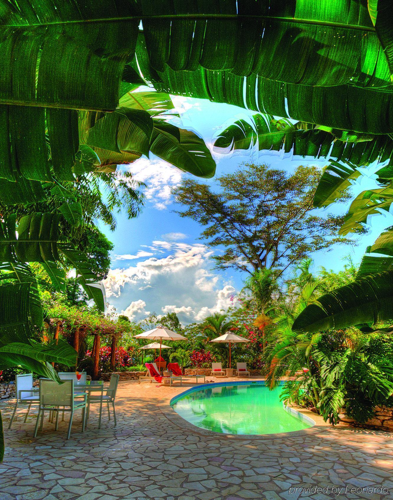 Machaca Hill Rainforest Canopy Lodge Пунта-Горда Экстерьер фото