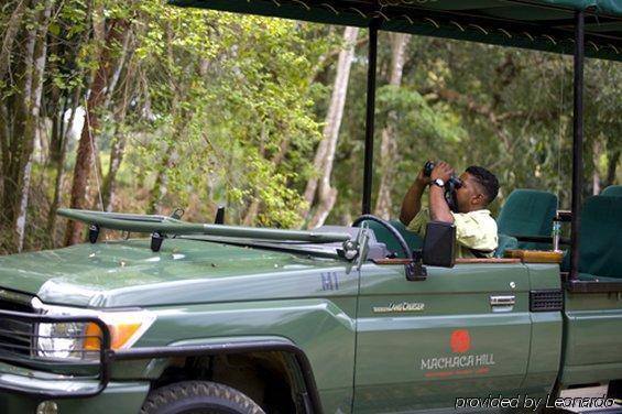 Machaca Hill Rainforest Canopy Lodge Пунта-Горда Экстерьер фото