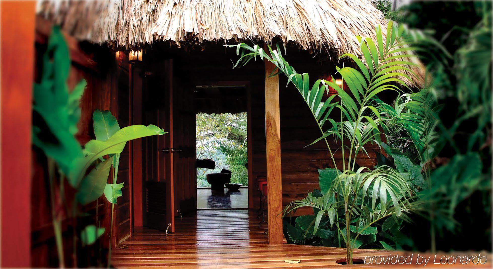Machaca Hill Rainforest Canopy Lodge Пунта-Горда Экстерьер фото